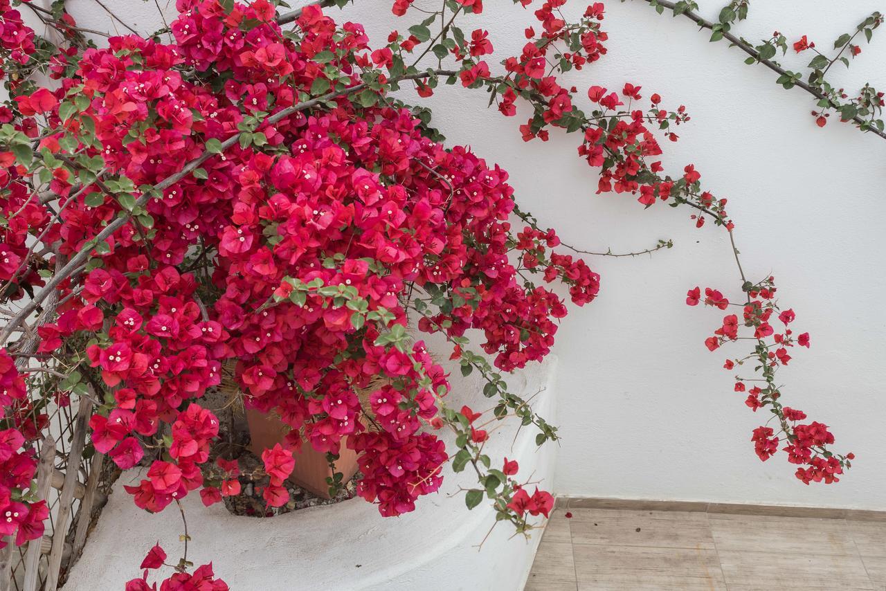 Naxos City Depis Suites מראה חיצוני תמונה